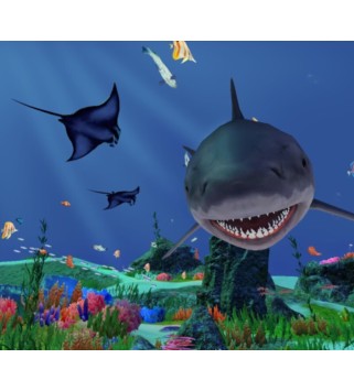 Fancy Fishing VR Steam Key GLOBAL